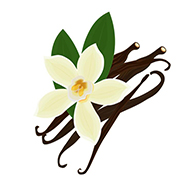 Vanilla