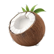 Coconut & Caramel